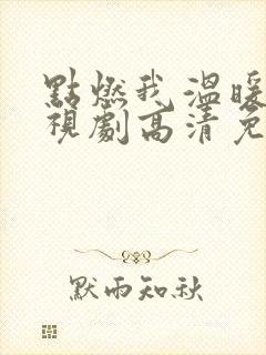 点燃我温暖你电视剧高清免费观看