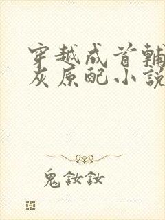 穿越成首辅的炮灰原配小说免费阅读