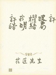 许我耀眼许妍沈皓明结局封面