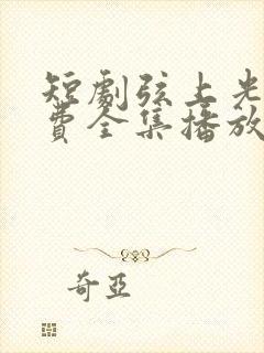 短剧弦上光年免费全集播放封面