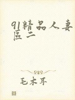 91精品人妻一区二
