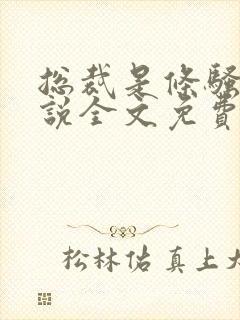 总裁是条骚狗小说全文免费阅读