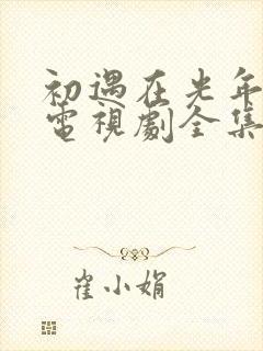 初遇在光年之外电视剧全集免费观看封面