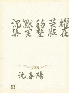 沉默的荣耀39集完整版在线观看封面