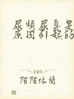 尿频尿臭是什么原因引起的