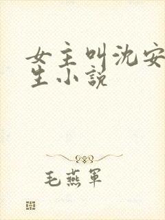 女主叫沈安安重生小说