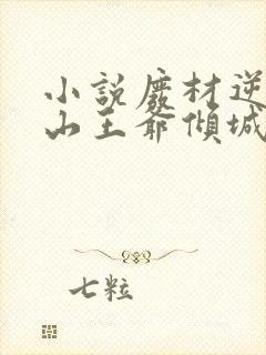 小说废材逆袭冰山王爷倾城妃