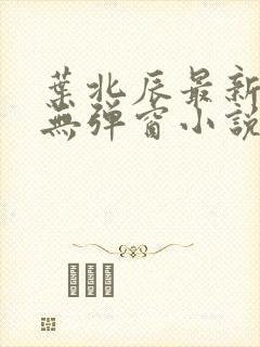 叶北辰最新章节无弹窗小说1617章