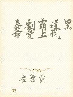 泰剧霸道黑帮少爷爱上我