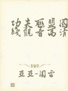 功夫联盟国语在线观看高清