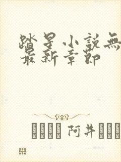 踏星小说无弹窗最新章节