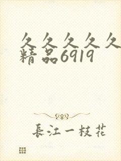 久久久久久亚洲精品6919