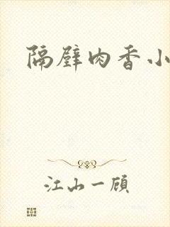 隔壁肉香小说