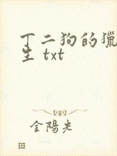丁二狗的猎艳人生 txt