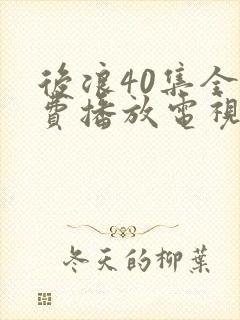 后浪40集全免费播放电视剧在线观看