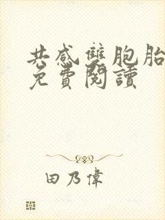 共感双胞胎小说免费阅读