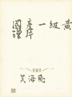 国产一级黄色伦理片