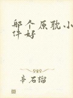 哪个原耽小说软件好