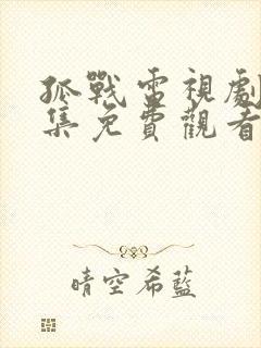 孤战电视剧52集免费观看封面