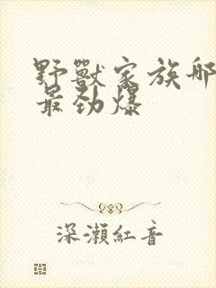 野兽家族哪几集最劲爆