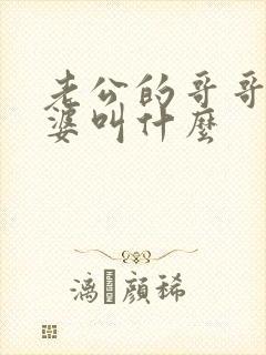 老公的哥哥的老婆叫什么