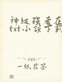 神级强者在都市txt小说下载