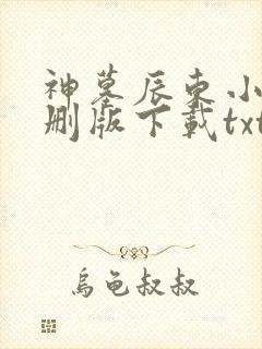 神墓辰东小说未删版下载txt封面