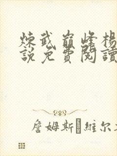 炼武巅峰杨开小说免费阅读