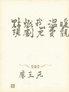 点燃我温暖你电视剧免费观看∞