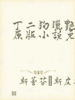 丁二狗猎艳人生原版小说免费阅读