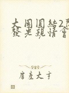 大团圆结2闪闪发光亲情会