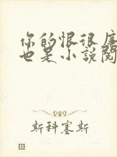 你的恨很廉价爱也是小说阅读