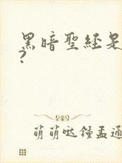 黑暗圣经是什么?封面