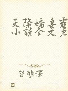 天降娇妻霸道宠小说全文免费阅读