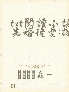txt阅读小说先婚后爱:总裁老公狂宠妻
