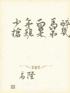 少年白马醉春风抢亲是第几集