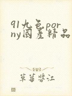 91九色porny国产精品