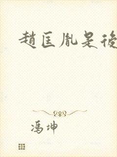 赵匡胤是后晋吗