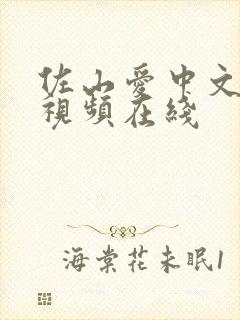 佐山爱中文字幕视频在线