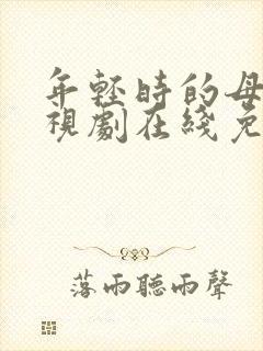 年轻时的母亲电视剧在线免费4封面