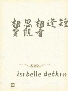 相思相逢短剧免费观看