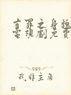 有罪之身魏大勋电视剧免费观看全集高清