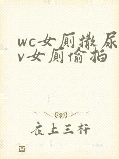 wc女厕撒尿tv女厕偷拍封面