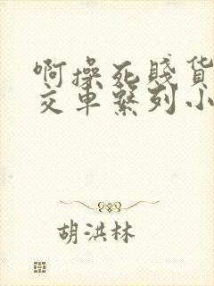 啊操死贱货骚公交车系列小说