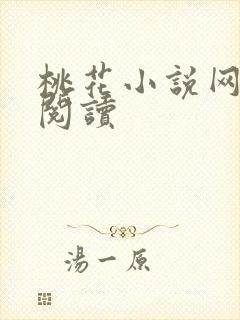 桃花小说网小说阅读封面