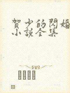 贺少的闪婚暖妻小说全集