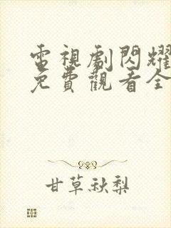 电视剧闪耀的她免费观看全集高清