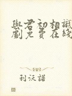 与君初相识电视剧免费在线观看完封面