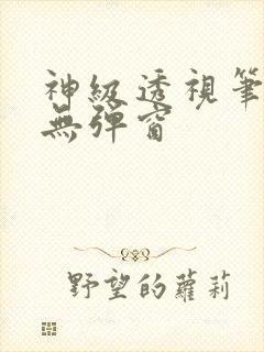 神级透视笔趣阁无弹窗