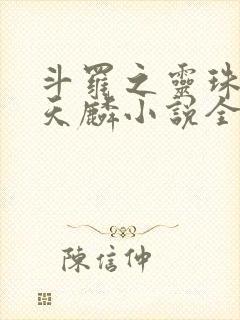 斗罗之灵珠神剑天麟小说全集看